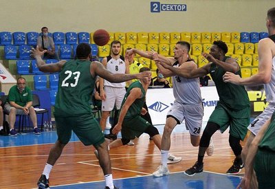 Мавпи вдруге поступилися вдома в міжсезоння: фотогалерея