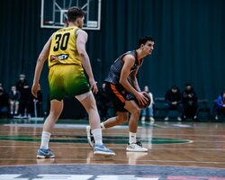 Мавпи перемогли Говерлу в Івано-Франківську: фотогалерея