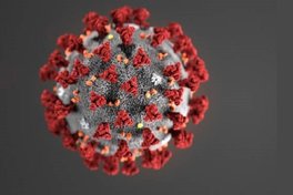 Будьте обачними: у Запоріжжі коронавірусом захворіли 13 спортсменів