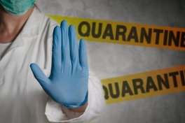 Фінал Кубку України без глядачів – Запоріжжя посилює карантин