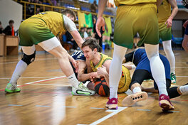 Прикарпаття-Говерла перемогла Ніко-Баскет: фотогалерея матчу