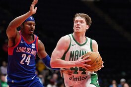 Українці за кордоном: Шульга набрав 11 очок в матчі G-ліги