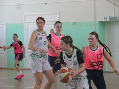 ВЮБЛ серед дівчат 2012 року: в Житомирі відбулись матчі другого етапу