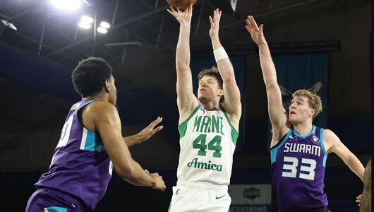 Українці за кордоном: Ткаченко зіграв 10 хвилин в Адріатичній лізі, Шульга завершив сезон у G-лізі