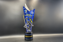 ФБУ запроваджує нову нагороду в жіночому баскетболі імені Марини Ткаченко