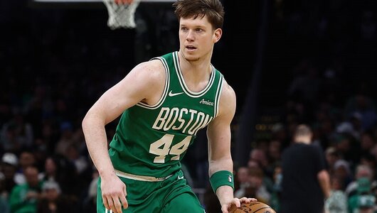 Українці за кордоном: Ткаченко набрав 20 очок в Хорватії, Шульга зіграв проти Пеліканс